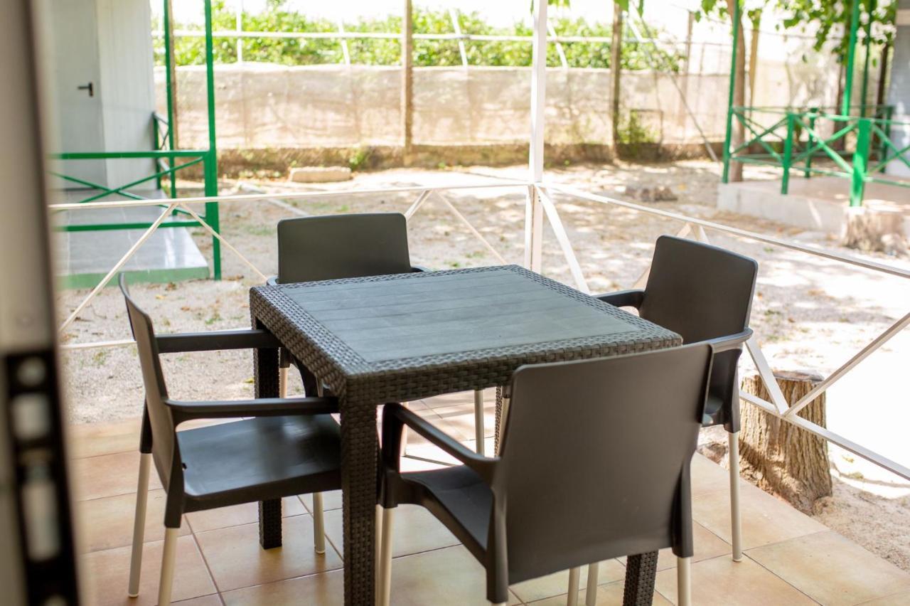 Camping Barraquetes 苏埃卡 外观 照片
